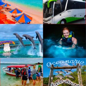 Playa Tranquila + Plankton + Acuario