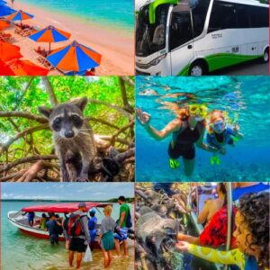 Playa Tranquila + Snorkeling + Mapaches