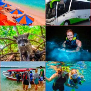 Playa Tranquila + Mapaches + Plankton